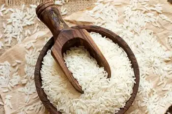 برنج شمال  __ عطر و طعم اصیل ایرانی